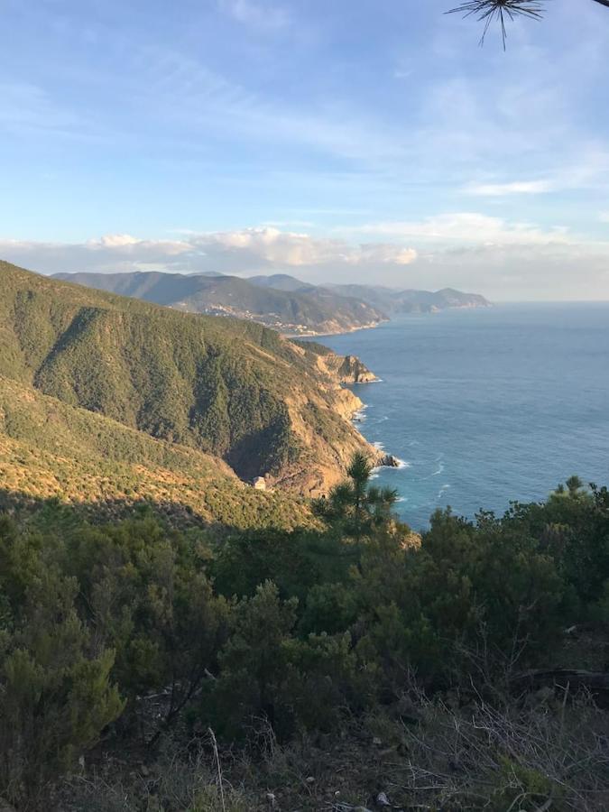 La Casa Di Ester Lavagna Kültér fotó